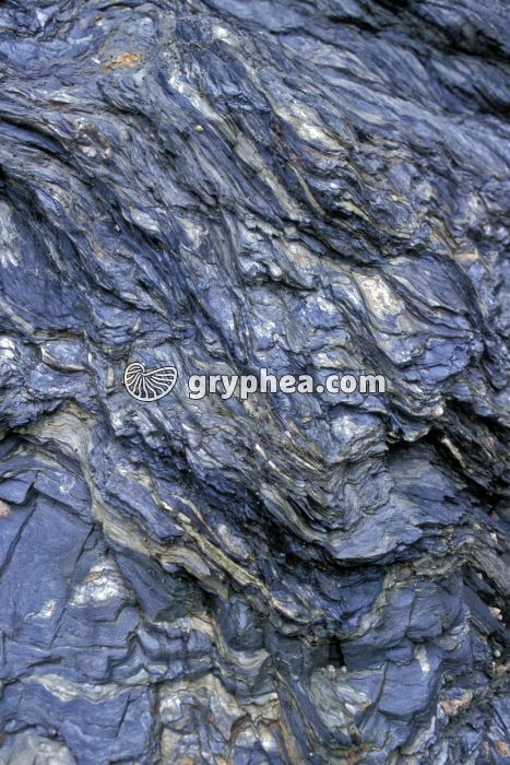 Roches métamorphiques Bretignoles - gryphea.com